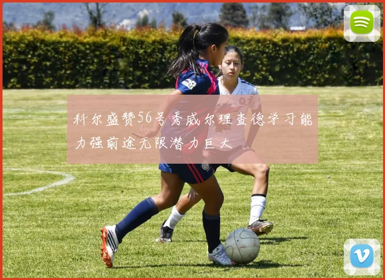 科尔盛赞56号秀威尔理查德学习能力强前途无限潜力巨大