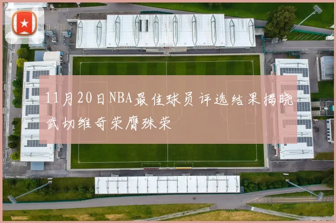 11月20日NBA最佳球员评选结果揭晓武切维奇荣膺殊荣