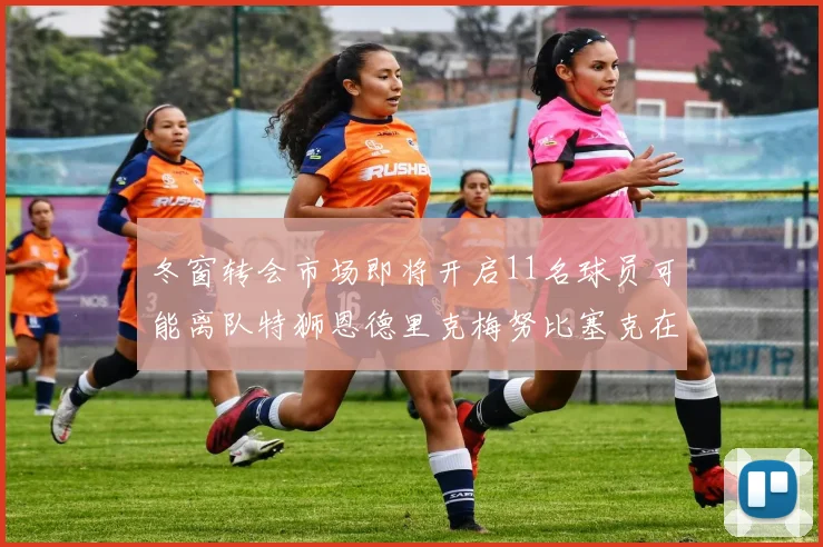 冬窗转会市场即将开启11名球员可能离队特狮恩德里克梅努比塞克在列