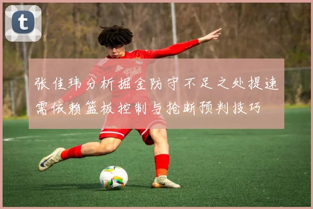 张佳玮分析掘金防守不足之处提速需依赖篮板控制与抢断预判技巧
